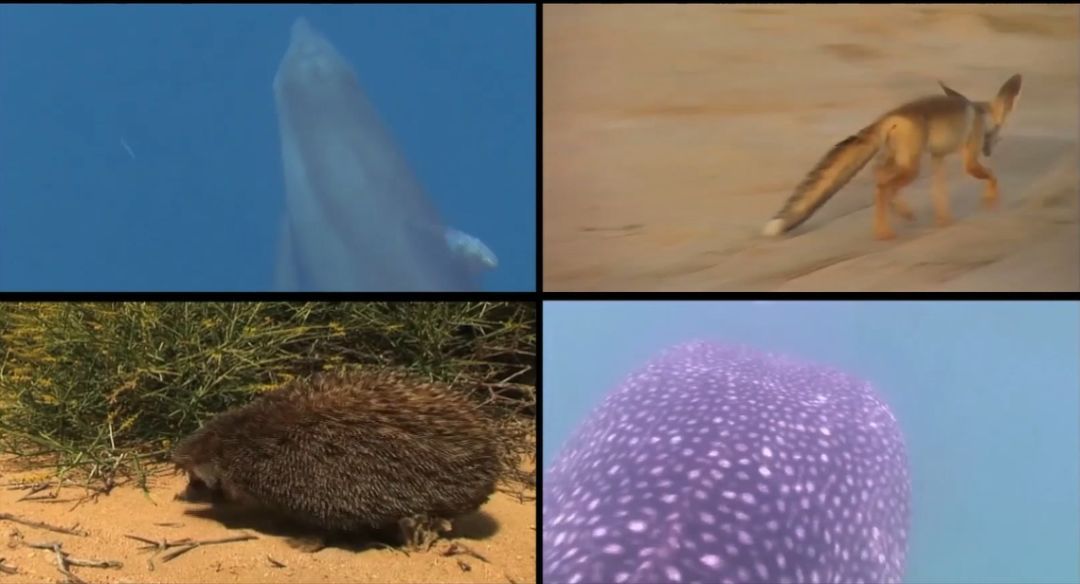 首页- 平博pinnacle888公司官网