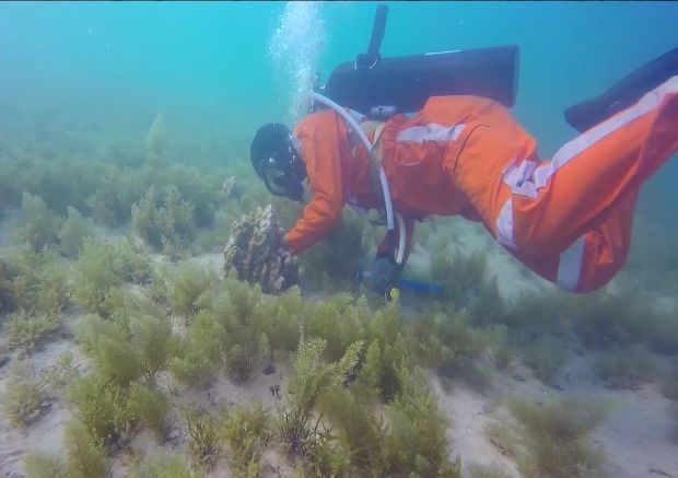 首页- 平博pinnacle888公司官网