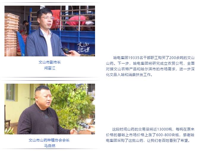 首页- 平博pinnacle888公司官网