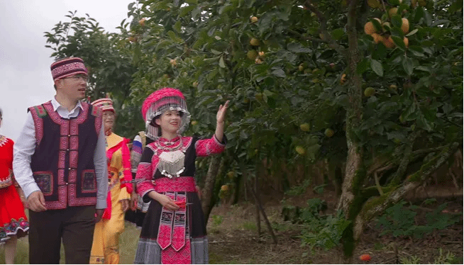 首页- 平博pinnacle888公司官网