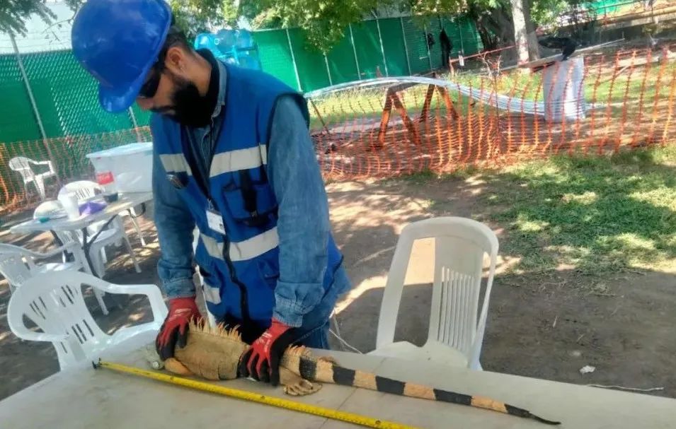 首页- 平博pinnacle888公司官网