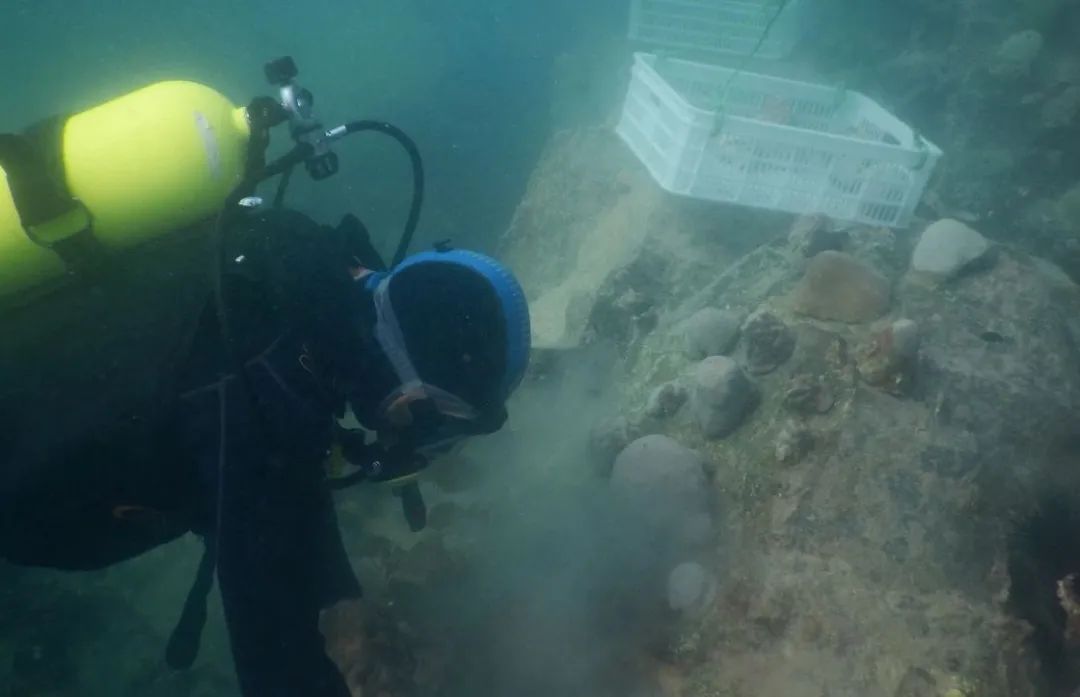 首页- 平博pinnacle888公司官网