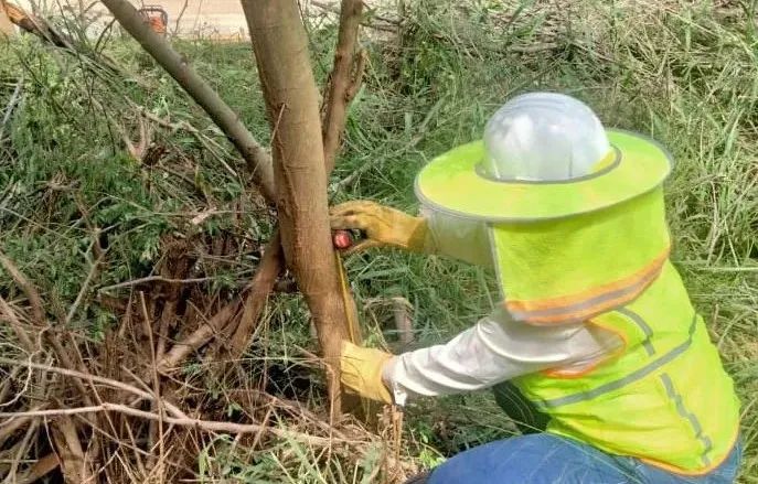 首页- 平博pinnacle888公司官网