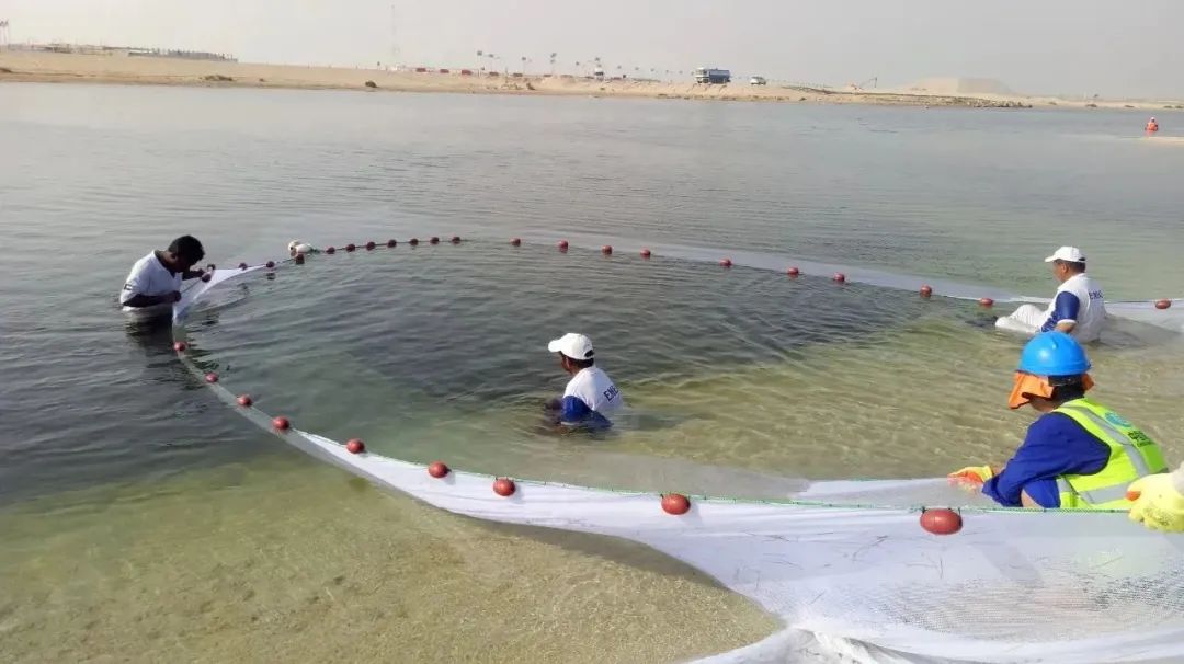 首页- 平博pinnacle888公司官网