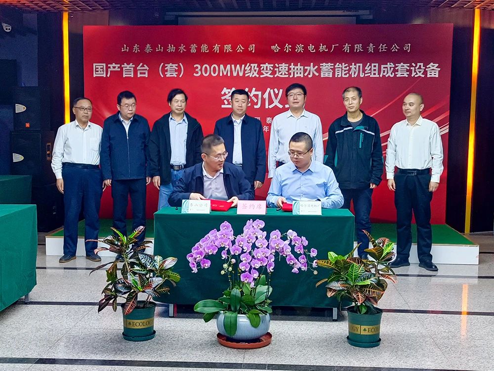 首页- 平博pinnacle888公司官网