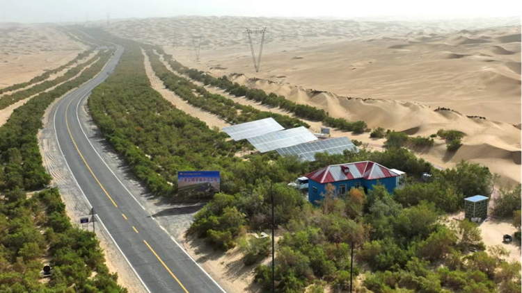 首页- 平博pinnacle888公司官网