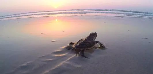 首页- 平博pinnacle888公司官网