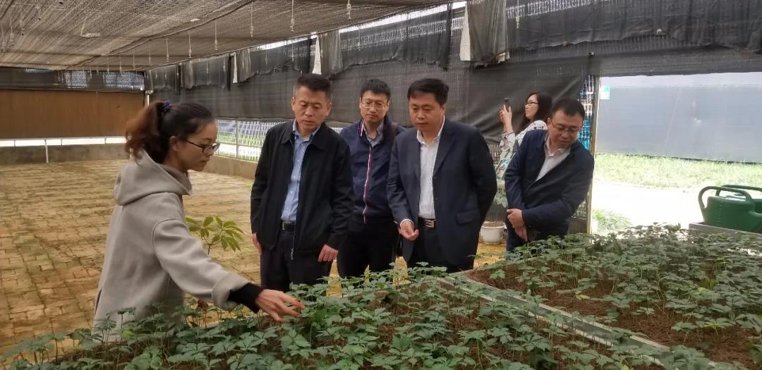 首页- 平博pinnacle888公司官网