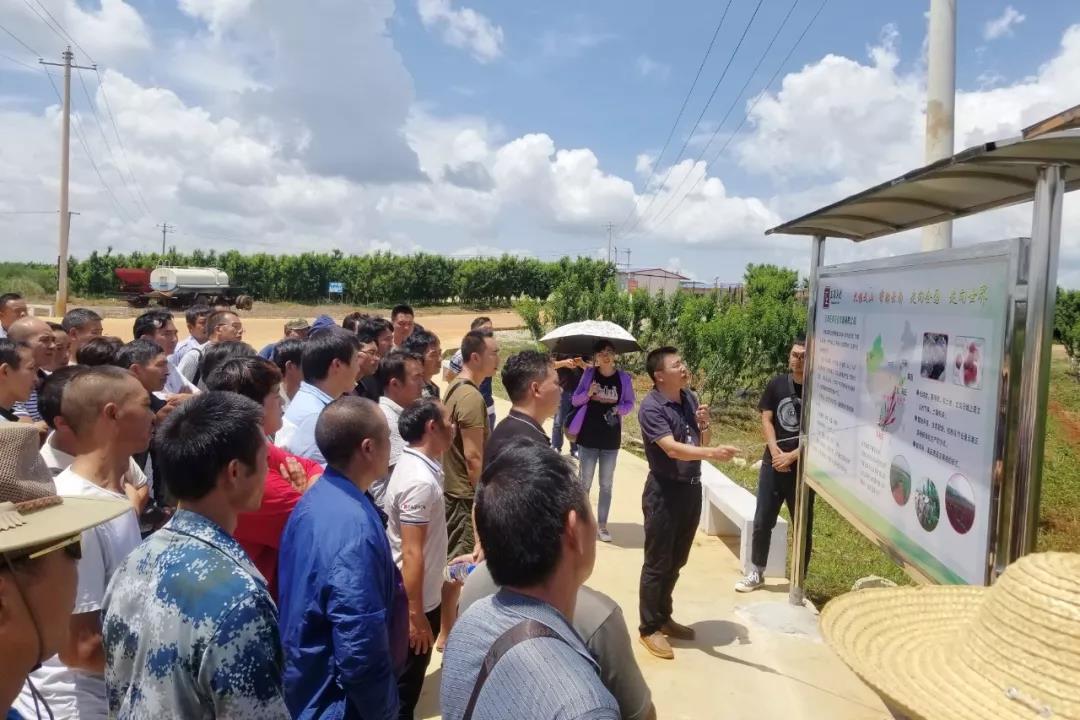 首页- 平博pinnacle888公司官网