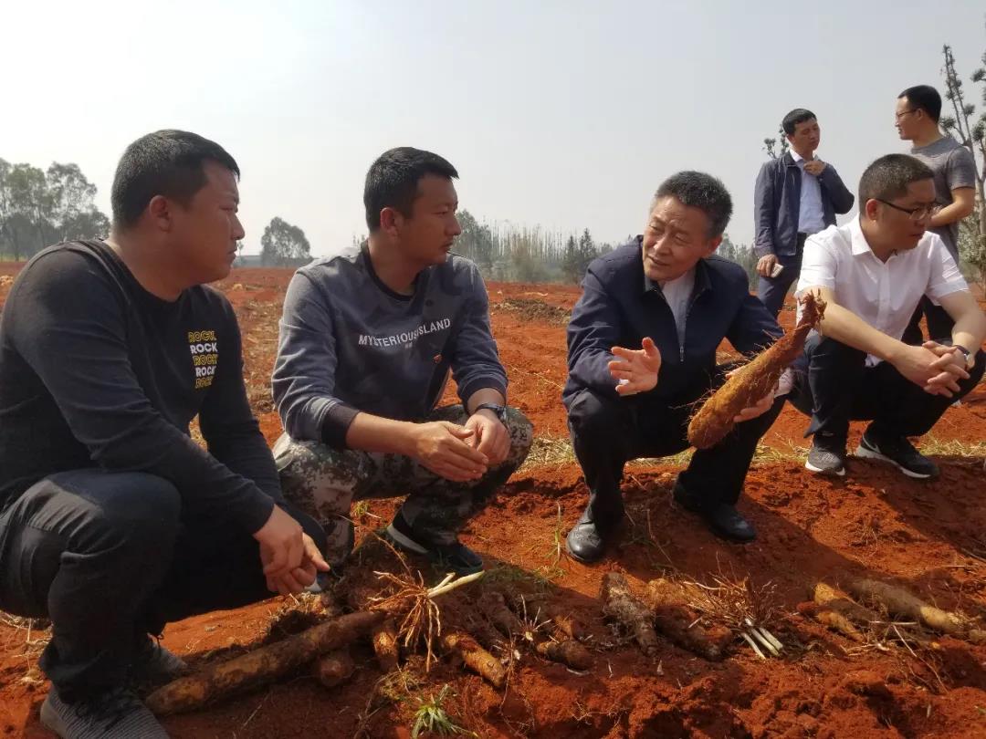 首页- 平博pinnacle888公司官网