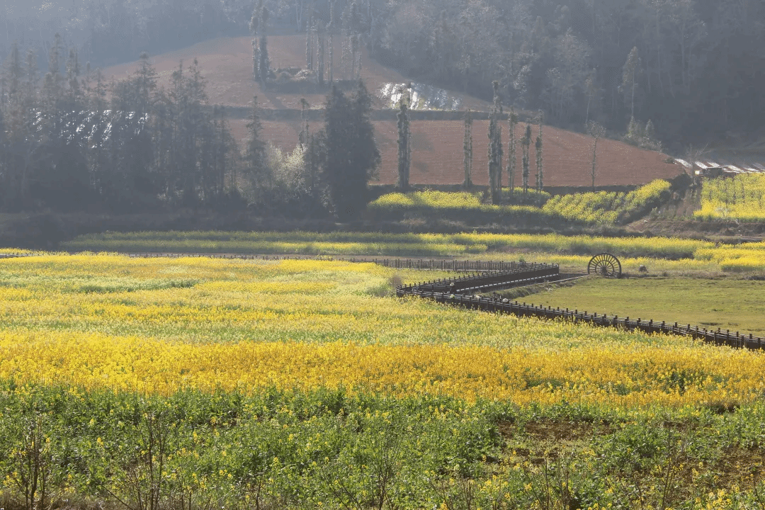 首页- 平博pinnacle888公司官网