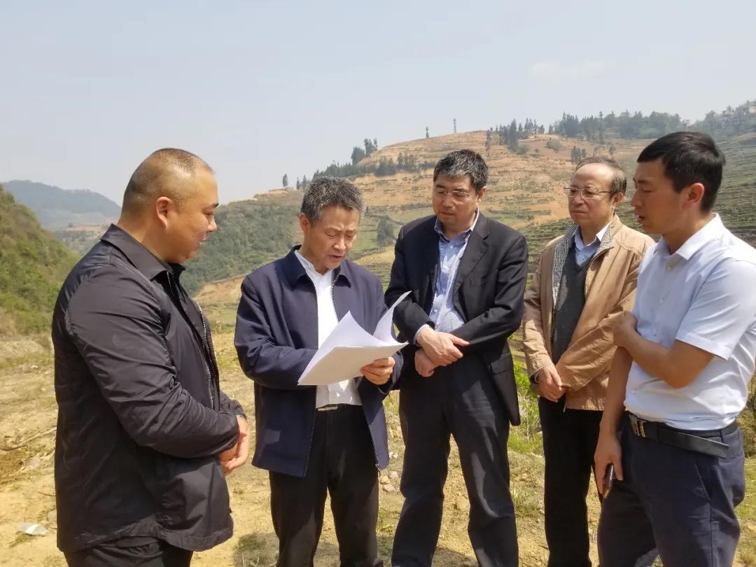 首页- 平博pinnacle888公司官网